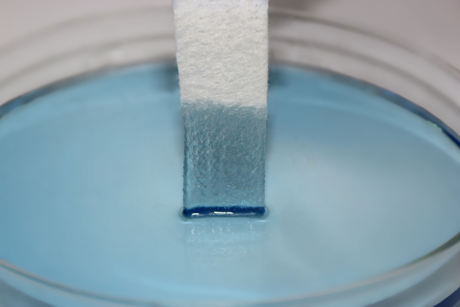 CMC Wound Dressing picture