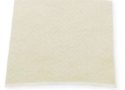 chitosan-feature 1-2
